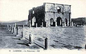 ALGERIE-RUINES ROMAINES DE LAMBESE (16)